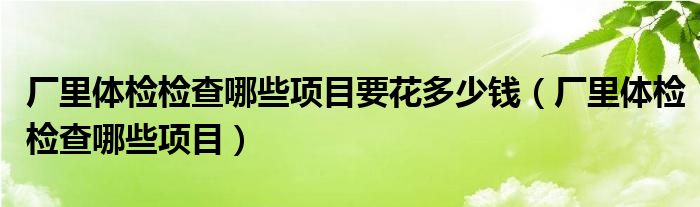 廠里體檢檢查哪些項目要花多少錢（廠里體檢檢查哪些項目）