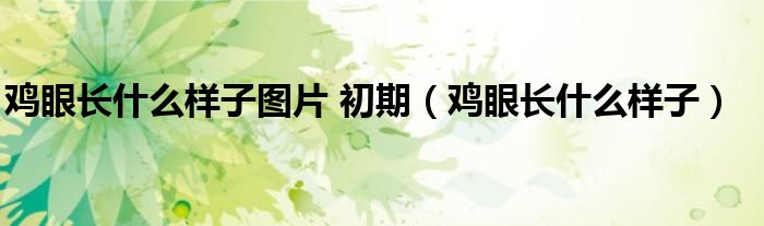 雞眼長(zhǎng)什么樣子圖片 初期（雞眼長(zhǎng)什么樣子）