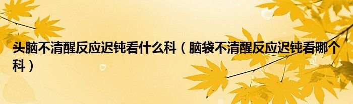 頭腦不清醒反應遲鈍看什么科（腦袋不清醒反應遲鈍看哪個科）