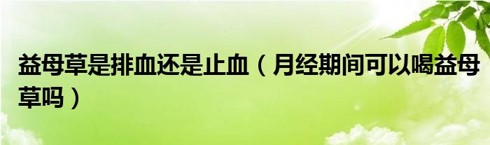 益母草是排血還是止血（月經(jīng)期間可以喝益母草嗎）