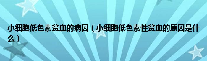 小細胞低色素貧血的病因（小細胞低色素性貧血的原因是什么）