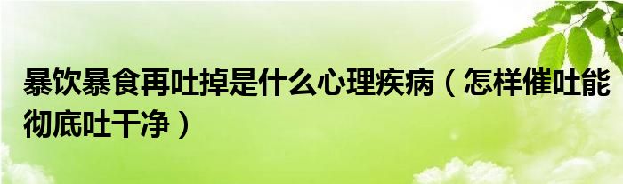 暴飲暴食再吐掉是什么心理疾?。ㄔ鯓哟咄履軓氐淄赂蓛簦?class='thumb lazy' /></a>
		    <header>
		<h2><a  href=