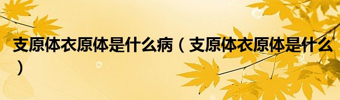 支原體衣原體是什么病（支原體衣原體是什么）