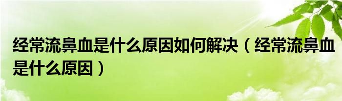 經(jīng)常流鼻血是什么原因如何解決（經(jīng)常流鼻血是什么原因）