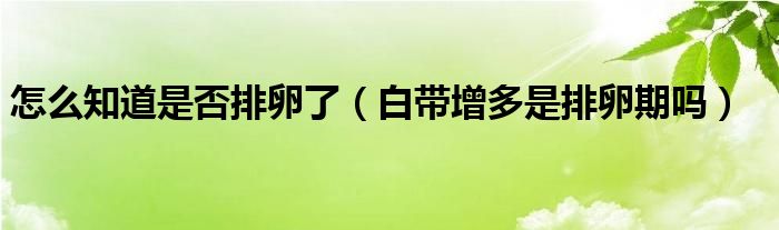 怎么知道是否排卵了（白帶增多是排卵期嗎）