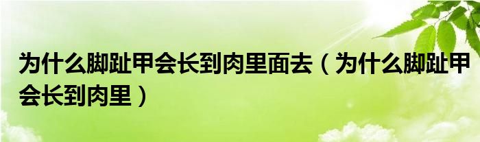 為什么腳趾甲會(huì)長(zhǎng)到肉里面去（為什么腳趾甲會(huì)長(zhǎng)到肉里）