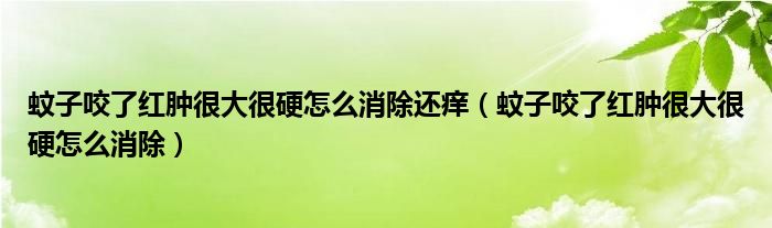 蚊子咬了紅腫很大很硬怎么消除還癢（蚊子咬了紅腫很大很硬怎么消除）