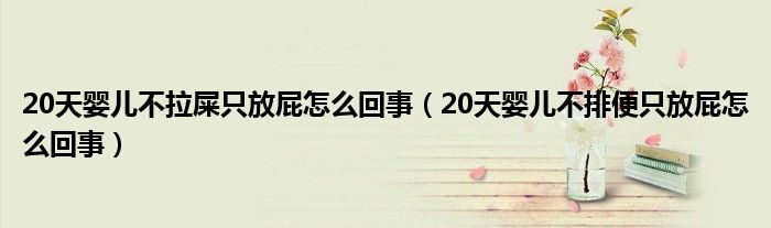 20天嬰兒不拉屎只放屁怎么回事（20天嬰兒不排便只放屁怎么回事）