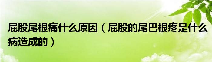 屁股尾根痛什么原因（屁股的尾巴根疼是什么病造成的）