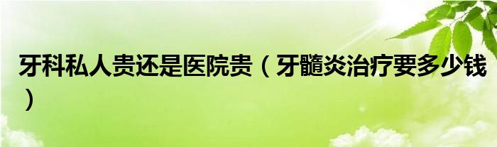 牙科私人貴還是醫(yī)院貴（牙髓炎治療要多少錢(qián)）