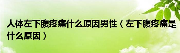 人體左下腹疼痛什么原因男性（左下腹疼痛是什么原因）