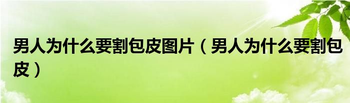 男人為什么要割包皮圖片（男人為什么要割包皮）