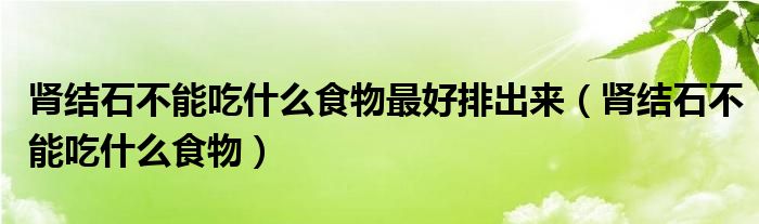 腎結石不能吃什么食物最好排出來（腎結石不能吃什么食物）