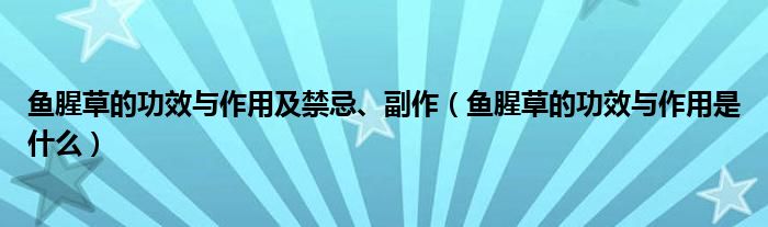 魚腥草的功效與作用及禁忌、副作（魚腥草的功效與作用是什么）