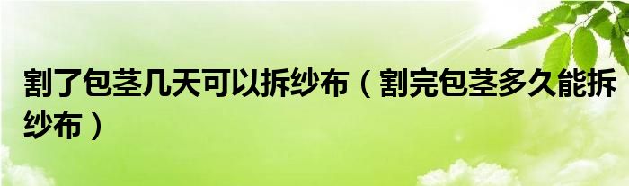 割了包莖幾天可以拆紗布（割完包莖多久能拆紗布）