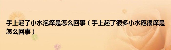 手上起了小水泡癢是怎么回事（手上起了很多小水皰很癢是怎么回事）