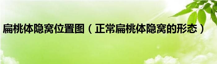 扁桃體隱窩位置圖（正常扁桃體隱窩的形態(tài)）