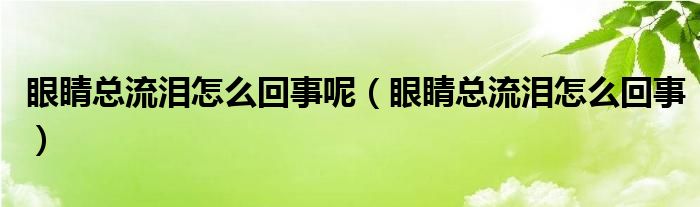 眼睛總流淚怎么回事呢（眼睛總流淚怎么回事）