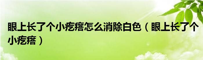 眼上長了個小疙瘩怎么消除白色（眼上長了個小疙瘩）