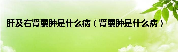 肝及右腎囊腫是什么?。I囊腫是什么病）