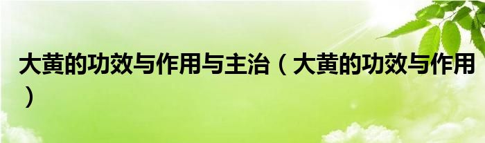 大黃的功效與作用與主治（大黃的功效與作用）