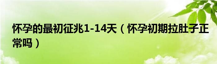 懷孕的最初征兆1-14天（懷孕初期拉肚子正常嗎）