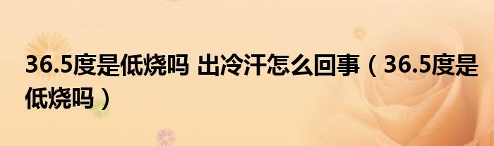 36.5度是低燒嗎 出冷汗怎么回事（36.5度是低燒嗎）