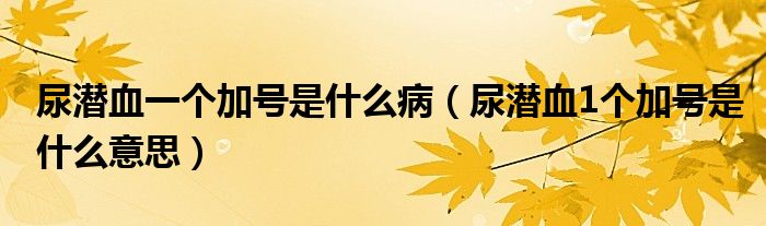 尿潛血一個(gè)加號(hào)是什么病（尿潛血1個(gè)加號(hào)是什么意思）