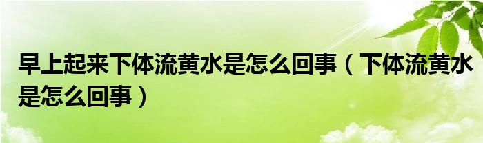 早上起來(lái)下體流黃水是怎么回事（下體流黃水是怎么回事）