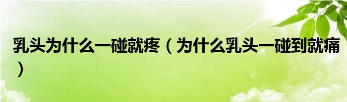 乳頭為什么一碰就疼（為什么乳頭一碰到就痛）