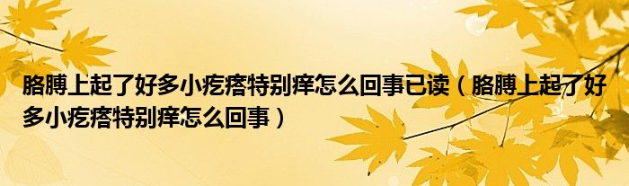 胳膊上起了好多小疙瘩特別癢怎么回事已讀（胳膊上起了好多小疙瘩特別癢怎么回事）