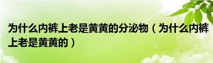 為什么內(nèi)褲上老是黃黃的分泌物（為什么內(nèi)褲上老是黃黃的）