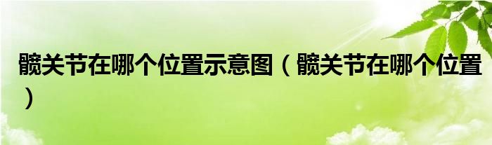 髖關(guān)節(jié)在哪個位置示意圖（髖關(guān)節(jié)在哪個位置）