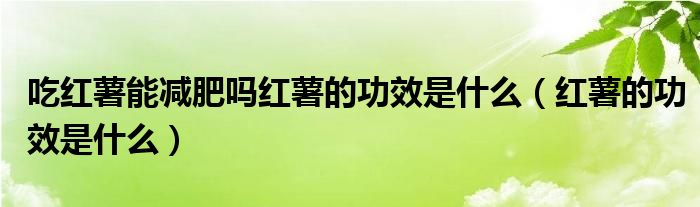 吃紅薯能減肥嗎紅薯的功效是什么（紅薯的功效是什么）