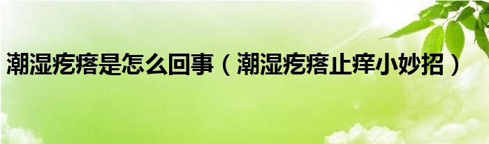 潮濕疙瘩是怎么回事（潮濕疙瘩止癢小妙招）