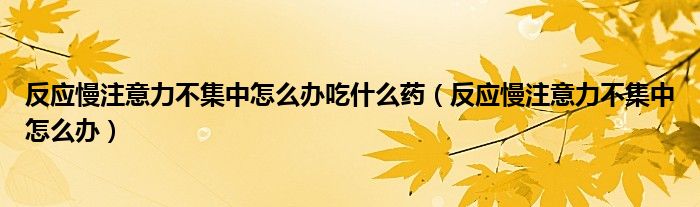 反應慢注意力不集中怎么辦吃什么藥（反應慢注意力不集中怎么辦）