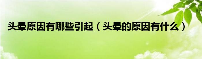 頭暈原因有哪些引起（頭暈的原因有什么）