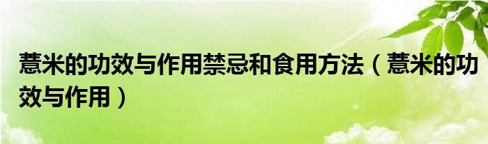 薏米的功效與作用禁忌和食用方法（薏米的功效與作用）