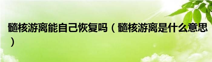 髓核游離能自己恢復(fù)嗎（髓核游離是什么意思）