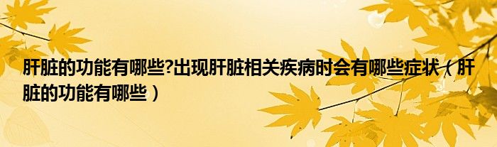 肝臟的功能有哪些?出現(xiàn)肝臟相關(guān)疾病時(shí)會(huì)有哪些癥狀（肝臟的功能有哪些）