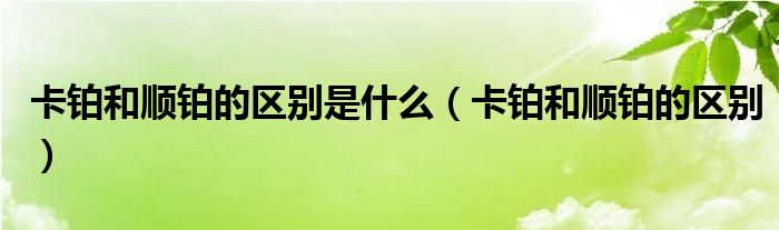 卡鉑和順鉑的區(qū)別是什么（卡鉑和順鉑的區(qū)別）