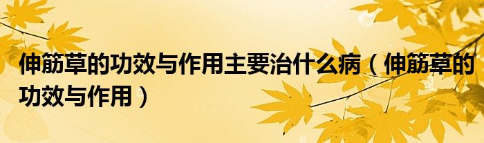 伸筋草的功效與作用主要治什么?。ㄉ旖畈莸墓πc作用）