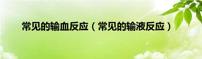 常見(jiàn)的輸血反應(yīng)（常見(jiàn)的輸液反應(yīng)）