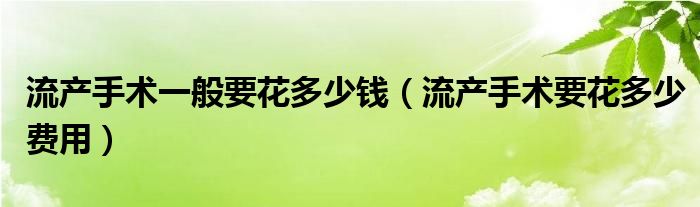 流產(chǎn)手術(shù)一般要花多少錢（流產(chǎn)手術(shù)要花多少費(fèi)用）