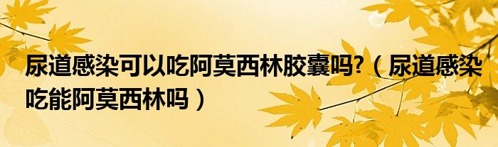 尿道感染可以吃阿莫西林膠囊嗎?（尿道感染吃能阿莫西林嗎）