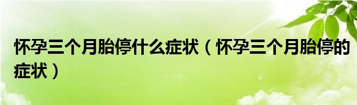 懷孕三個月胎停什么癥狀（懷孕三個月胎停的癥狀）