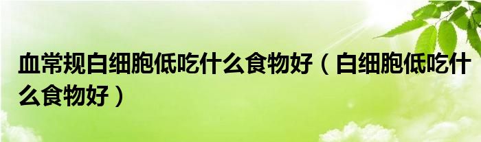 血常規(guī)白細(xì)胞低吃什么食物好（白細(xì)胞低吃什么食物好）