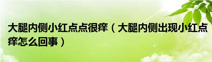 大腿內(nèi)側小紅點點很癢（大腿內(nèi)側出現(xiàn)小紅點癢怎么回事）