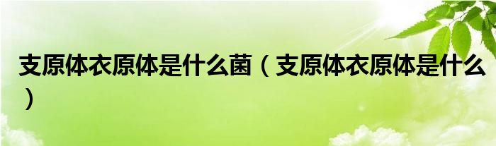 支原體衣原體是什么菌（支原體衣原體是什么）