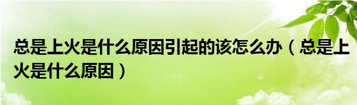 總是上火是什么原因引起的該怎么辦（總是上火是什么原因）